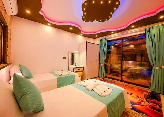 别墅 Anemon 2 卡尔坎