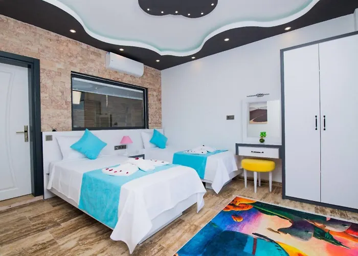 Anemon 2 * 卡尔坎