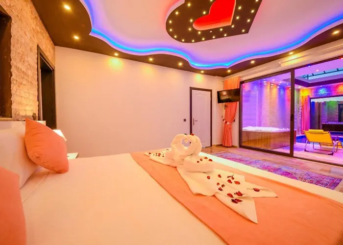 Anemon 2 فيلة كالكان